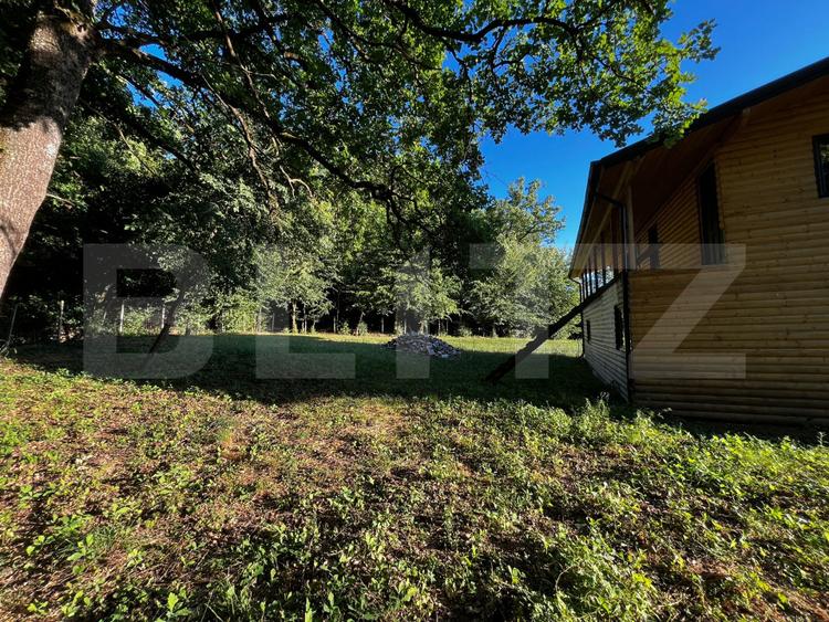 Cabana de Vis în Inima Naturii – Investiția Perfectă la 10 min de Beclean!