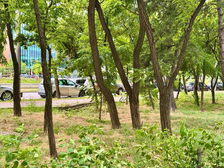 Podu Ros, langa Palas Campus, apartament cu 2 camere de inchiriat