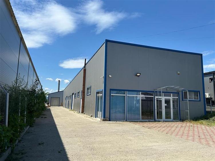 Zona Letea Veche - 3 Hale de inchiriat