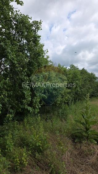 Domeniu rural, gospodarie/multifunctionala cu casa, livada, vie - 56