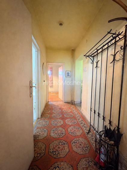 4 camere, suprafata generoasa, vedere panoramica spre raul Timis - 11