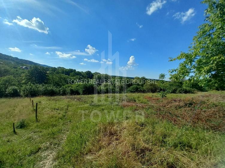 Teren în Fântânele – 3.673 mp, pârâu si cadru natural  deosebit - 14
