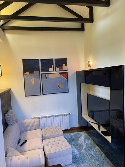 VILA 400 mp Ghe. Grigore Cantacuzino