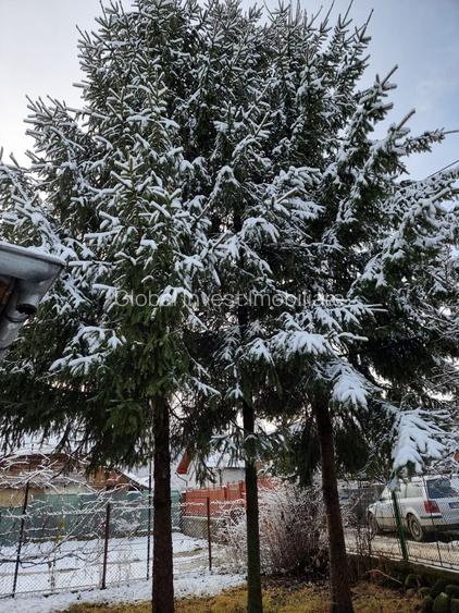 Casa 5 camere+ anexe cu teren 686mp - 3