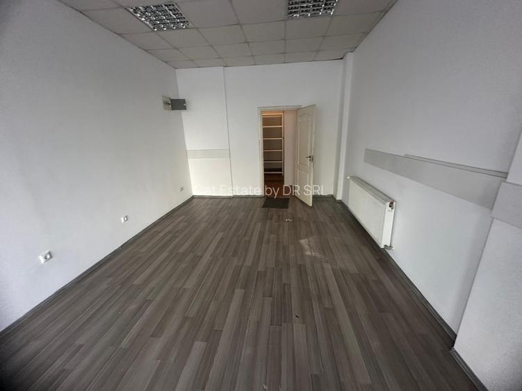 SAD zona Lipovei Dedeman - 8