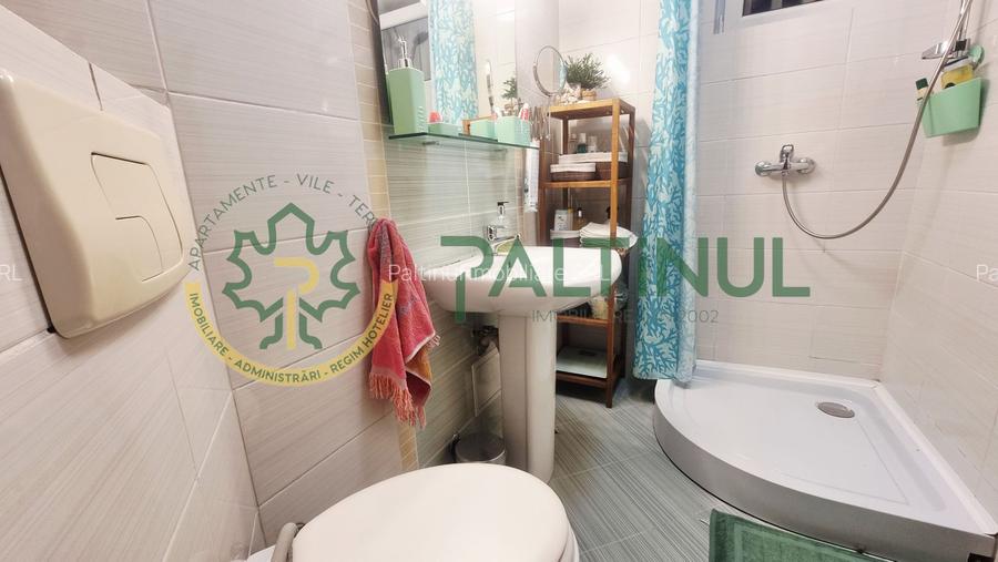 Apartament 2 camere cu balcon, renovat complet, Terezian - 11