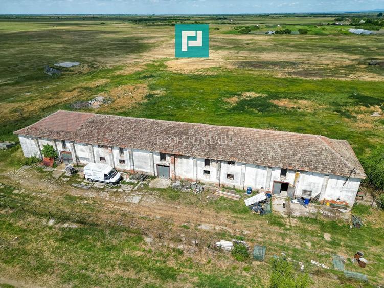 Hală industrială cu teren generos în Zărand, Arad - 9