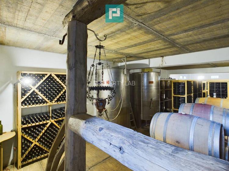 Pivnițele Birăuaș D.O.C Miniș - RATE FĂRĂ DOBÂNDĂ - 19