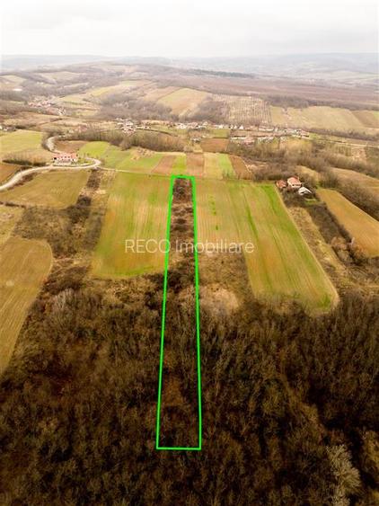 RECO Teren intravilan in Ceica Bihor - 5