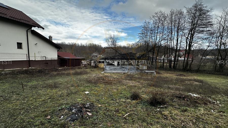 Teren 844 mp Mosoaia-Basangesti - 4