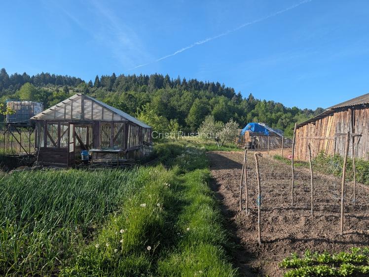 Gospodărie completă în Zăbala – Casă 150 mp (3 dormitoare, living, loc de masa) - 12