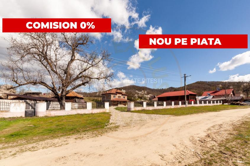 Casă P+1 langa padure cu teren 4.752 mp Cosesti Arges - 2