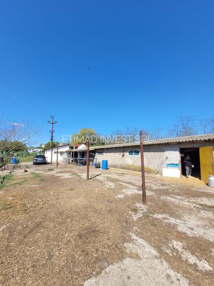 FERMĂ - PIETRENI - DN3 - UTILITĂȚI - 10.680 MP - 6