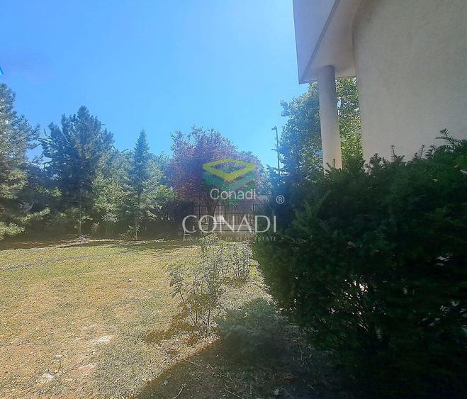 Herastrau, imobil de birouri de inchiriat, 545 mp utili - 11