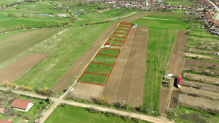 RECO , teren intravilan, Ineu,Bihor - 2