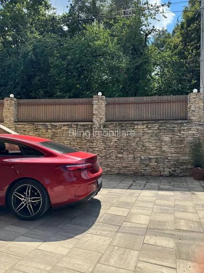 Vila de Lux, in Faget - 7