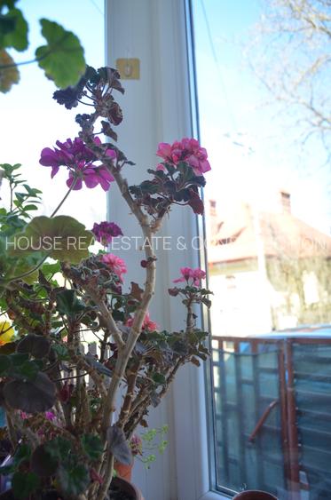 Apartament 3  Camere - Panoramă spectaculoasă în Bușteni (Zamora) - 6