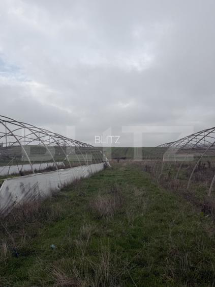 Teren intravilan agricol, sere, anexa agricola, 11500 mp teren, Sopot - 4