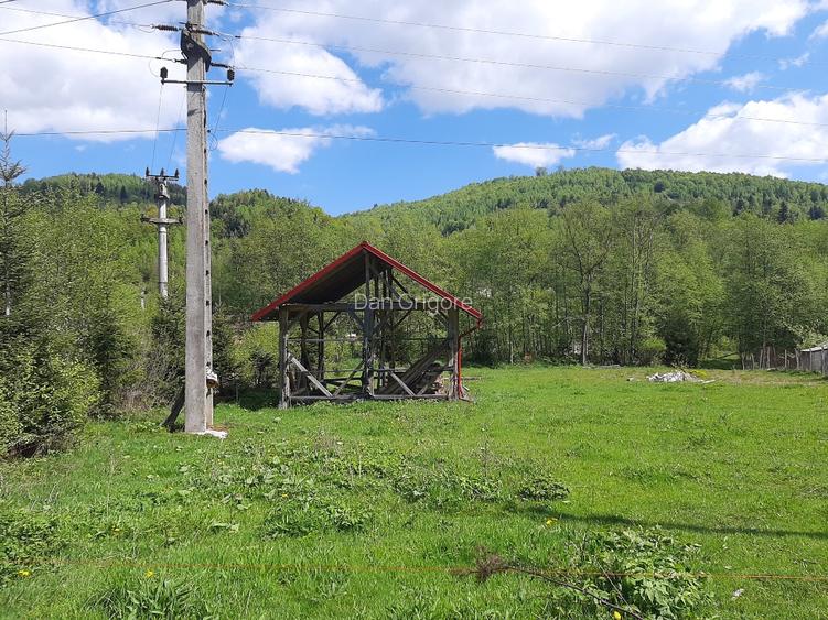 Vand teren intravilan Comuna Avram Iancu, Judetul Alba  - 5