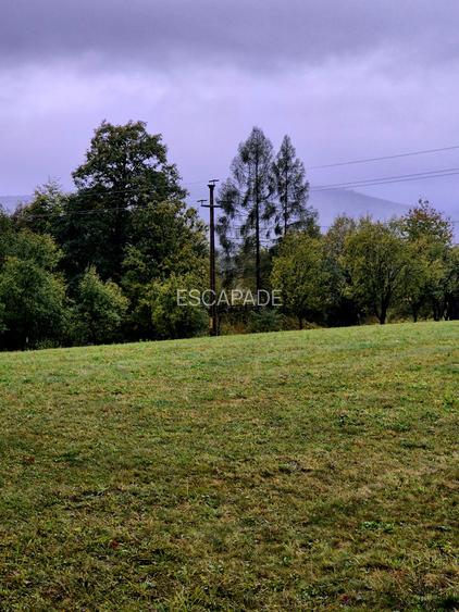 Comision 0%, teren extravilan 12497 mp Sinca Noua - 6