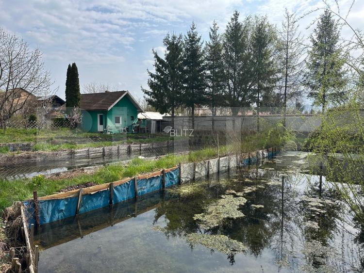 Investitie: Casa cu teren constructii si pastravarie - Prejmer, Brasov - 2