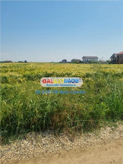 VANZARE TEREN INTRAVILAN 10000 MP  COMUNA BERCENI - 6