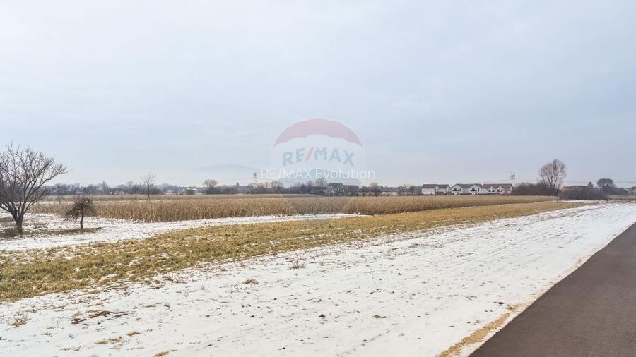 Oportunitate investițională – Teren intravilan 5.646 mp, Stupini - 6