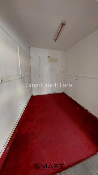 Casa spatioasa si curte zona Terezian - 19