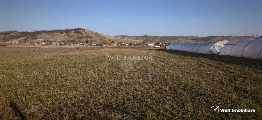 Teren industrial 3500mp, Apahida - 2