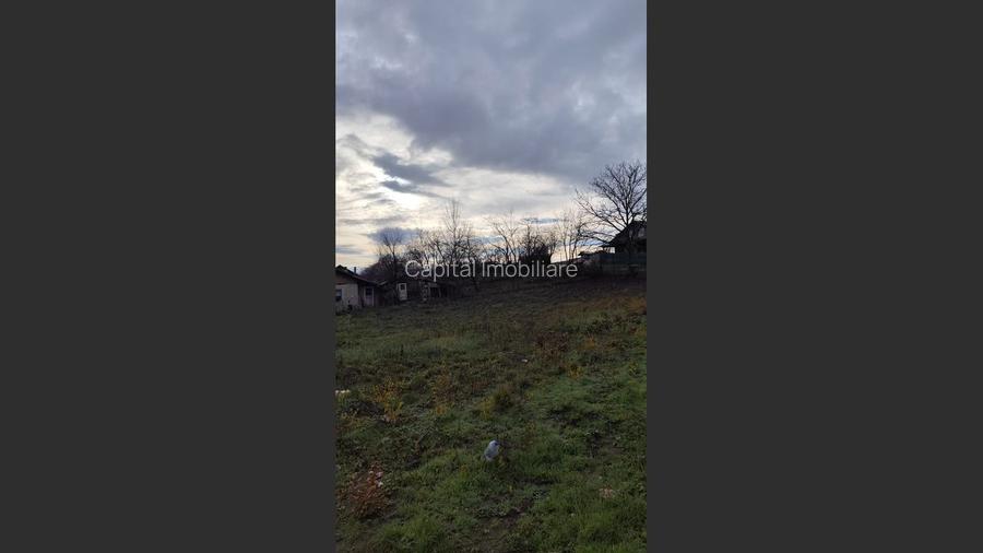 Teren Intravilan Baicoi 1061 mp - 5