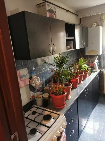 Apartament 3 camere în zona Grigore Alexandescu - 4