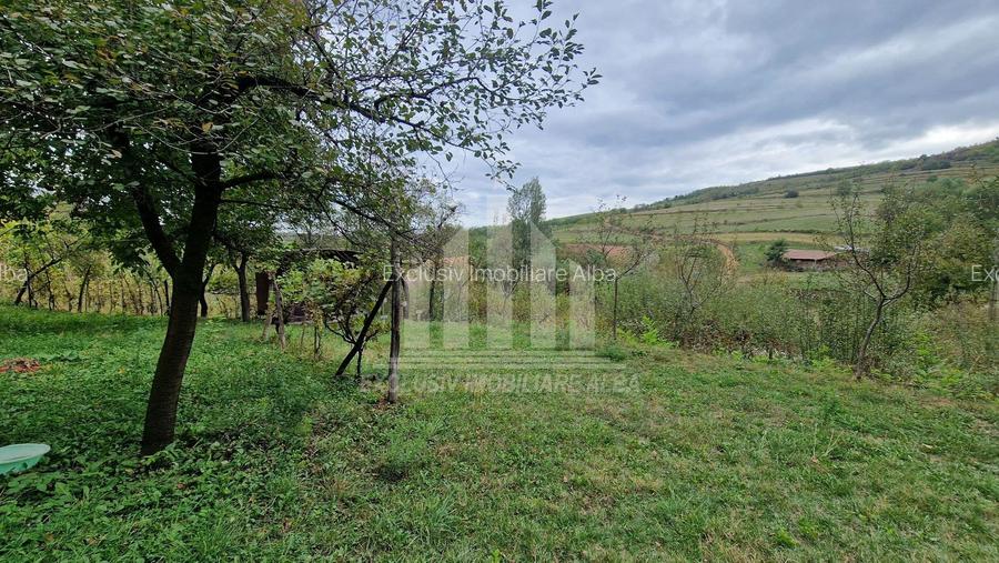 Casa individuala | 120 mp | 1390 mp teren | Livada | Cetea - 11