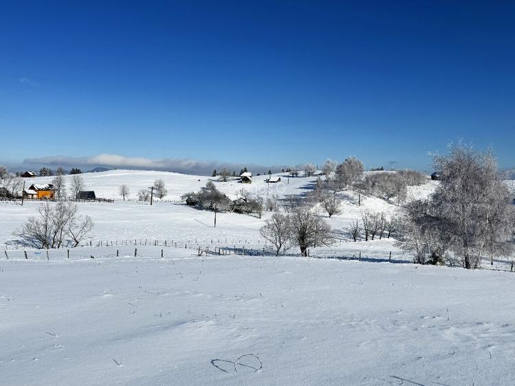 Teren satul Sirnea, intravilan, deschidere 120 m la drum asfaltat,  - 5