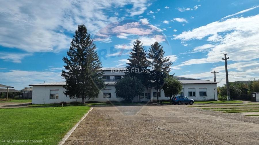 Spațiu industrial 4.4Ha Teren și 15.000mpc - Zona Industrială - Hârlău - 6