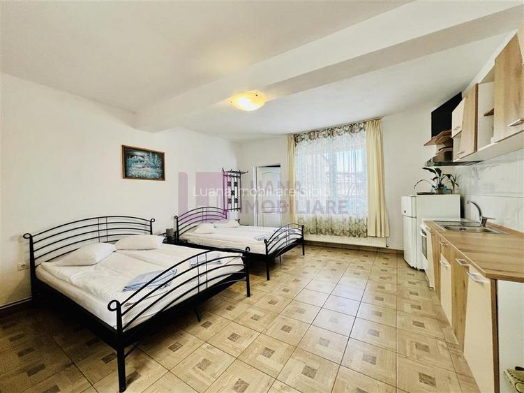 Afacere la cheie | Vila de 3 stele | Paltinis | amenajata complet - 9