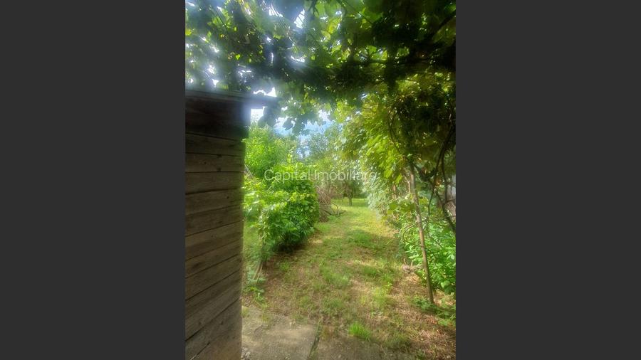 Casa Baicoi zona Schela - 15