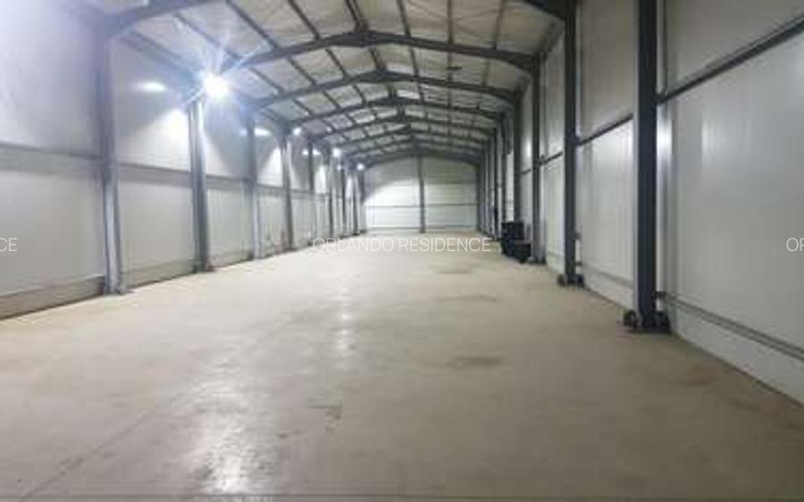 Hală nouă de închiriat în Domnești – 300 mp, 1990 €/lună promoțional - 2