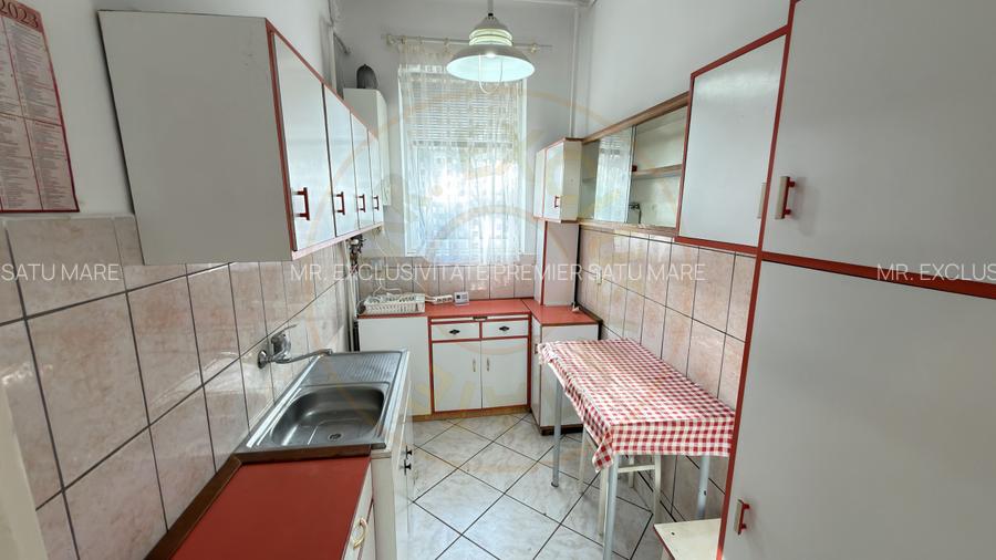 Casă 6 camere cu Teren 950 mp | 2 Fronturi ≈ 61 m | Carei - 17