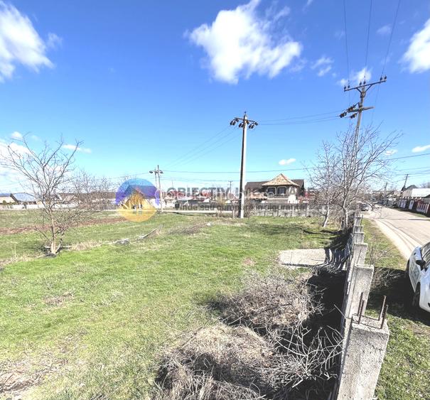 TEREN intravilan  comuna SAVINESTI - 7