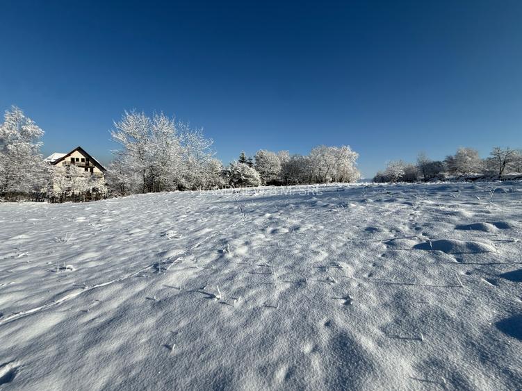 Teren intravilan 500 sau 1000 mp Bran-Tohanita la dum asfaltat - 4