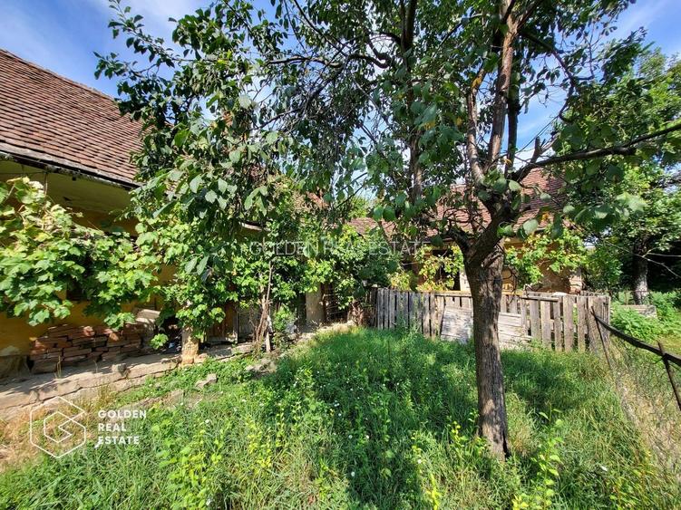 Casa cu teren de 1807 mp, Oras Lipova - 7