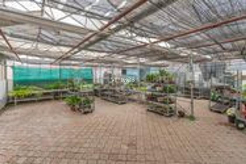 CASA BARTOLOMEU- sediu firma/ comercial/ servicii- zona circulata - 8