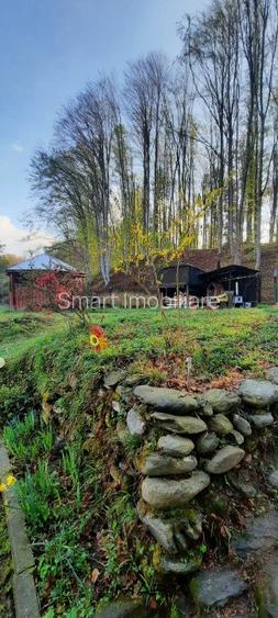 Cabana 4 camere zona Valea Avrigului - 7