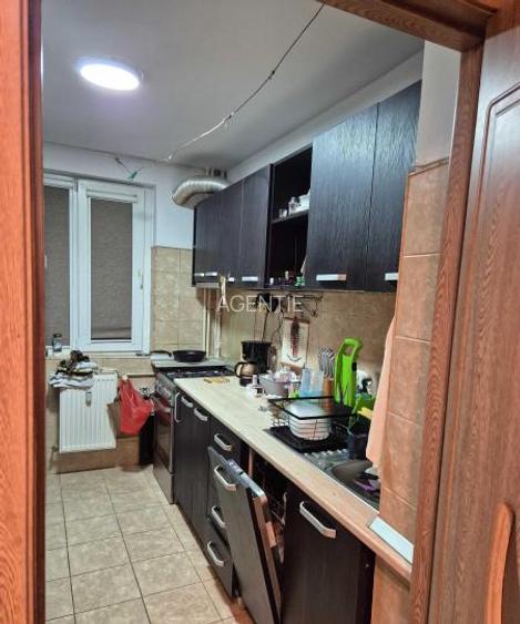 Dristor-bulevardul Camil Ressu-stradal - 2