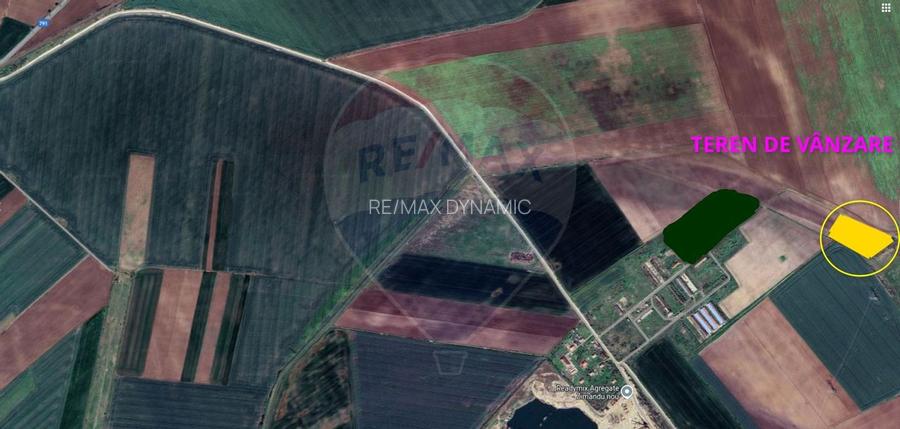 Teren agricol 14,200mp zona fermei din Zimandu Nou - 3