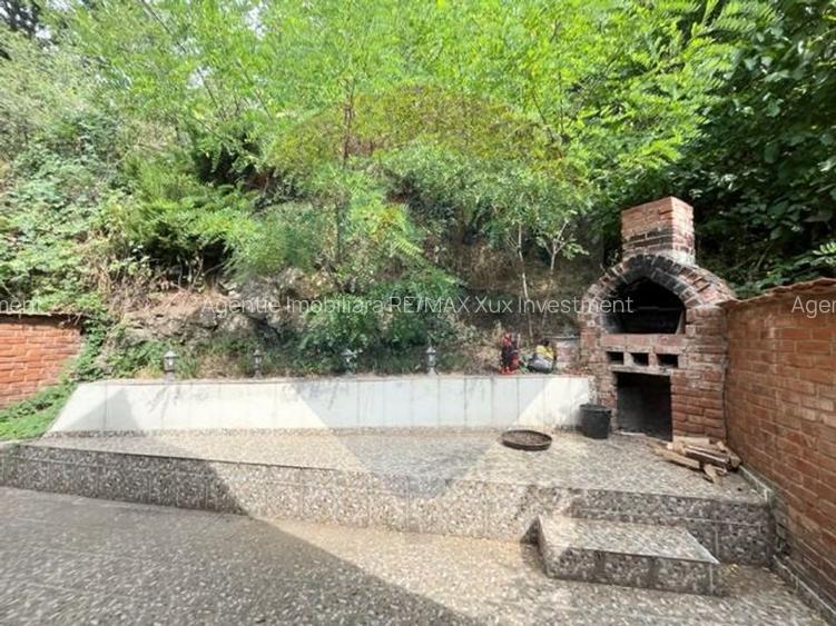 Vila  de vacanta Sibiel - 10