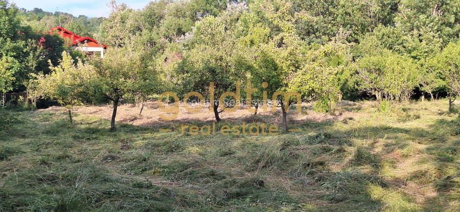 CASA IN ZONA LINISTITA/MOBILATA/UTILATA/TEREN IMPRESIONANT 5000MP/CORNU/PRAHOVA - 53