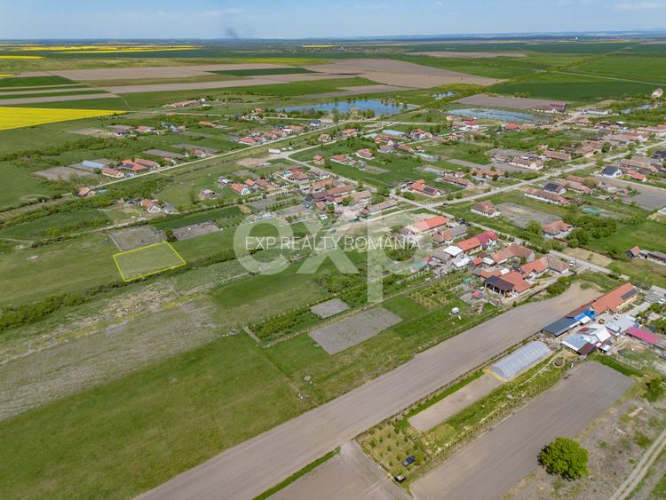 DE VÂNZARE: 1.448 MP DE „LINIȘTE PURĂ” LA NIȚCHIDORF - 4