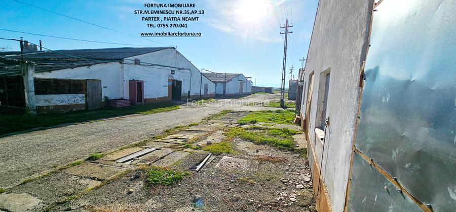 Complex imobiliar format din cladiri si constructii industriale+teren intravilan - 21