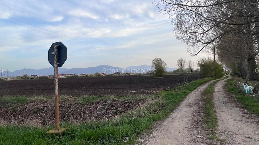 Teren 50000mp Extravilan-Intrare Halchiu-Cod 5235 - 5